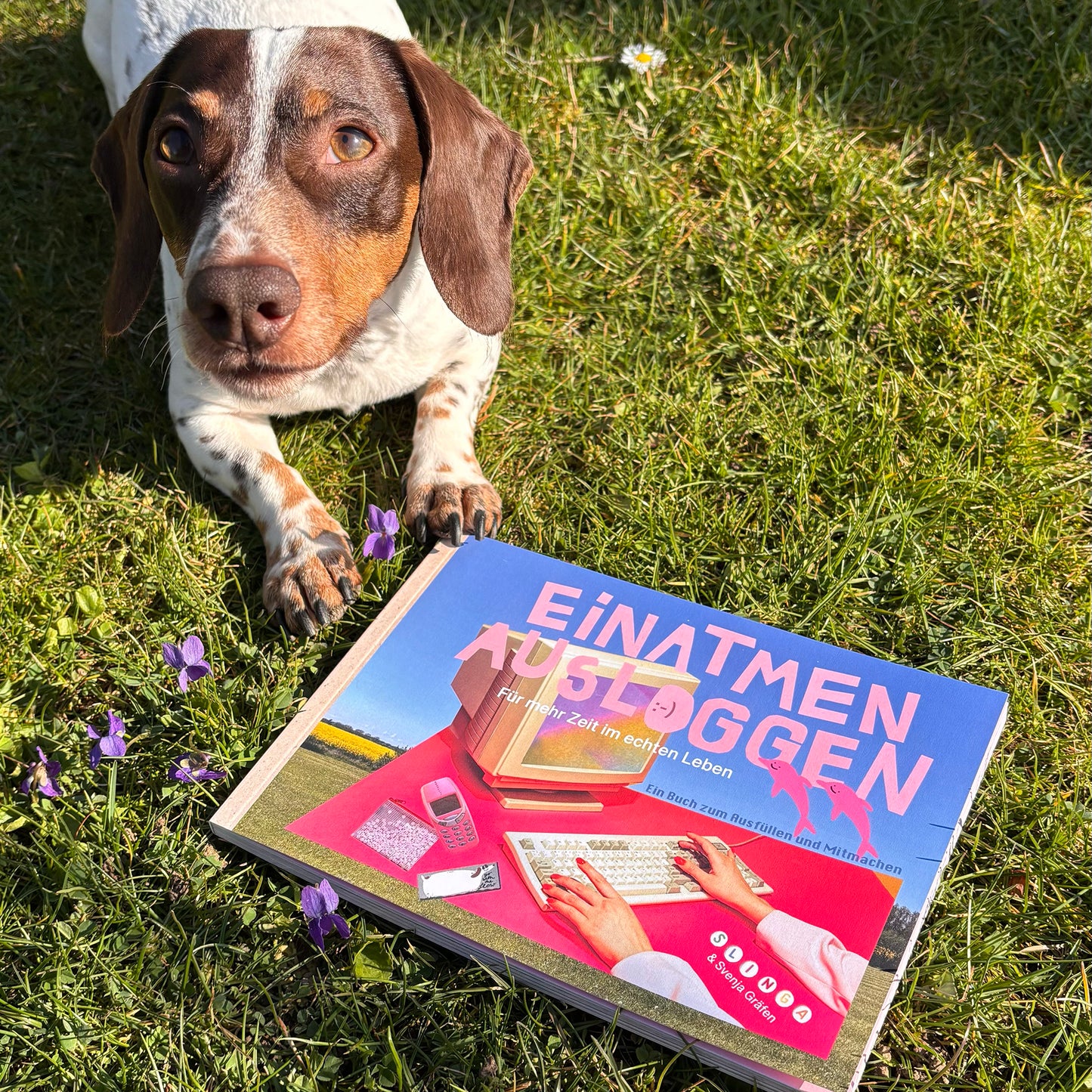 Einatmen Ausloggen – Svenja Gräfen, Slinga