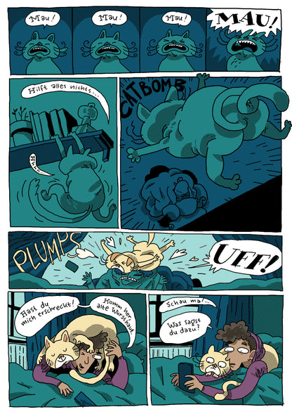 Auf und Ab. Psychische Krisen ausbremsen – Max Hillerzeder