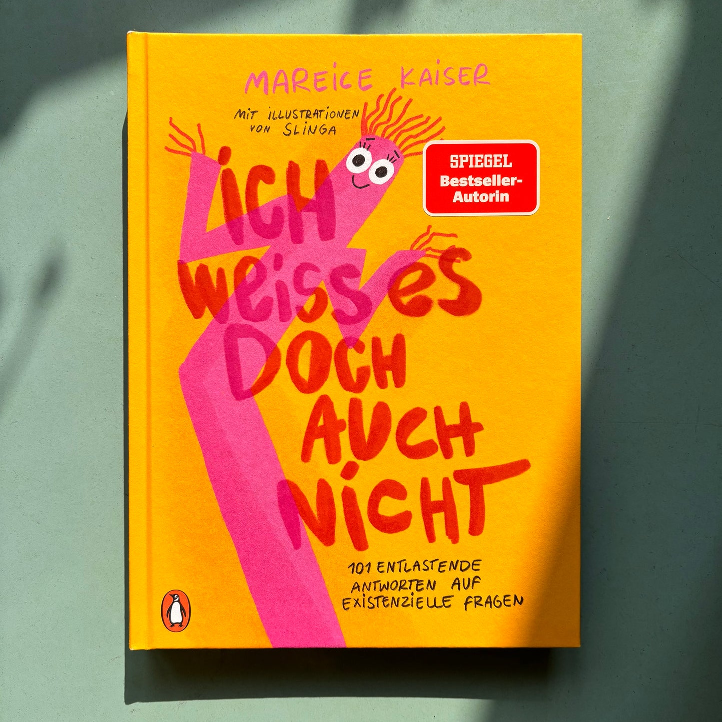 Ich weiß es doch auch nicht - Mareice Kaiser, Slinga