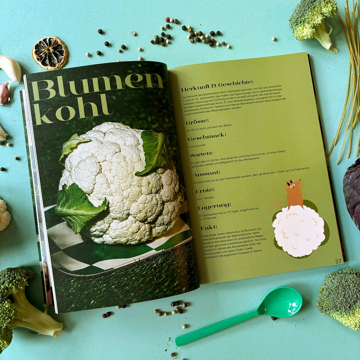 Das Kohlinarische Kochbuch