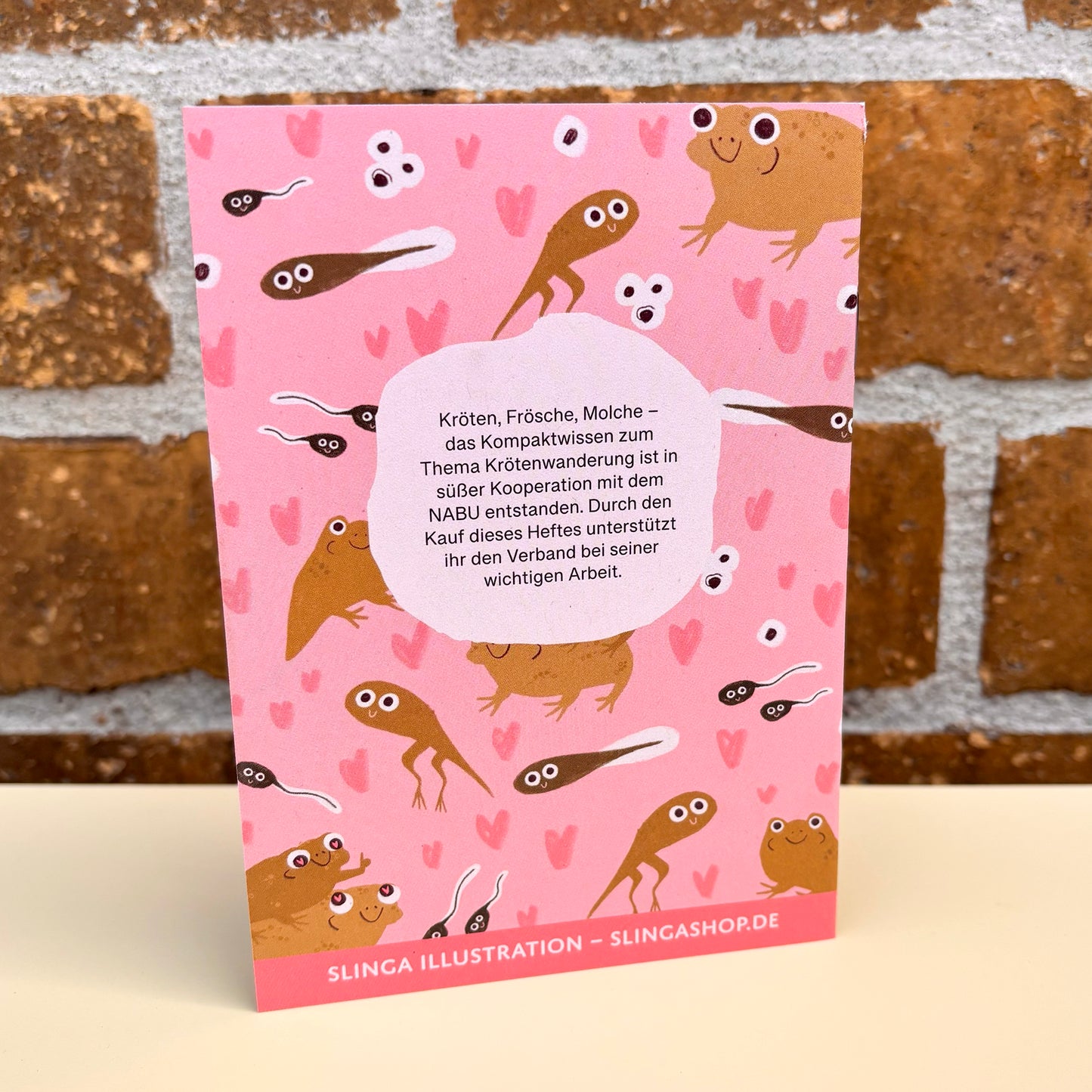 Warum wandern Kröten – Die Krötenbroschüre