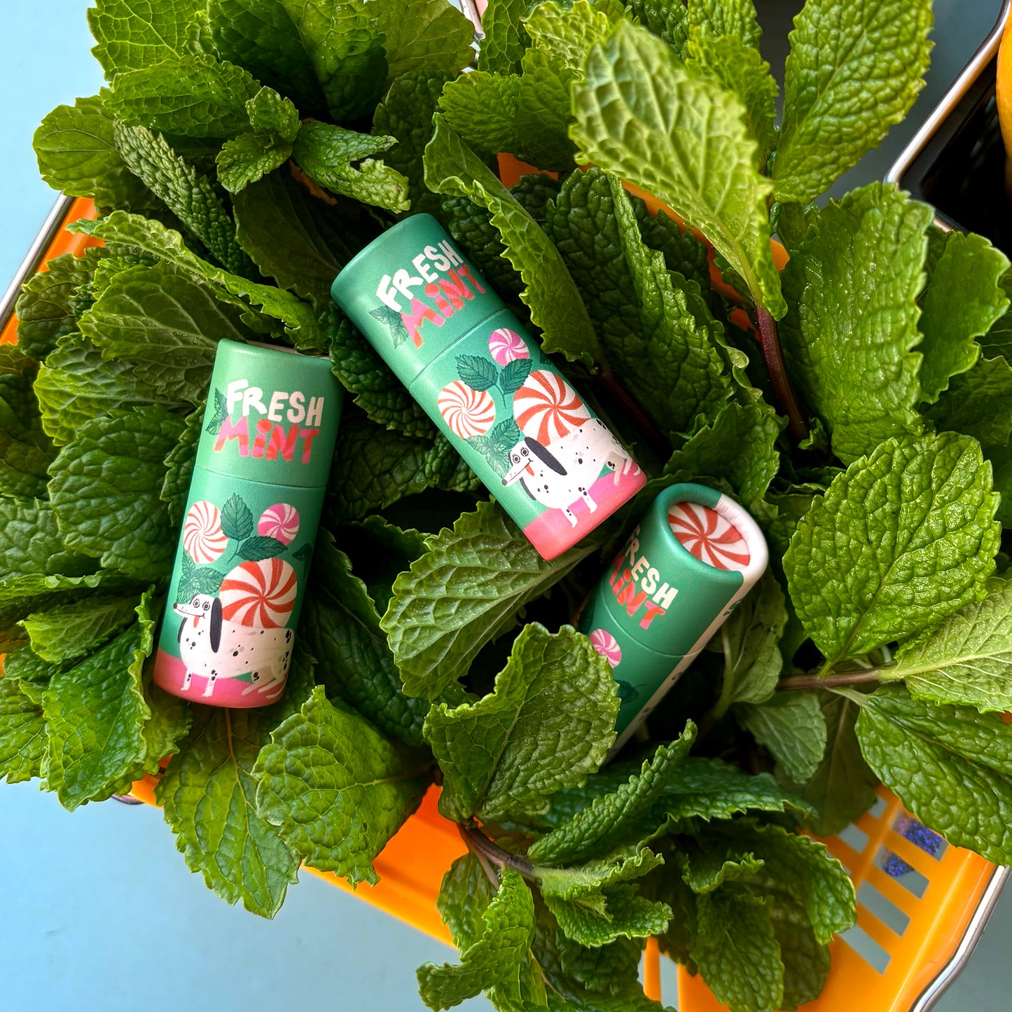 Lip Balm Fresh Mint