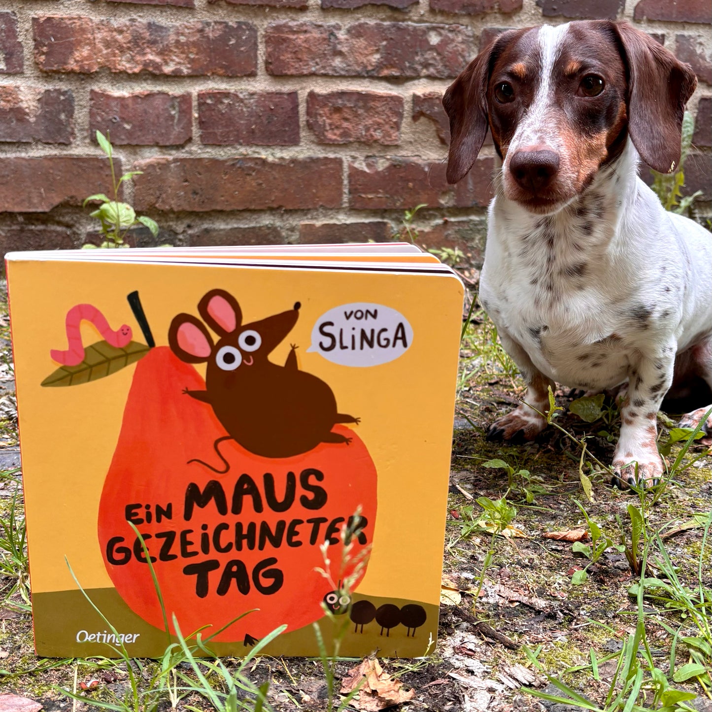 Ein Mausgezeichneter Tag Pappbilderbuch