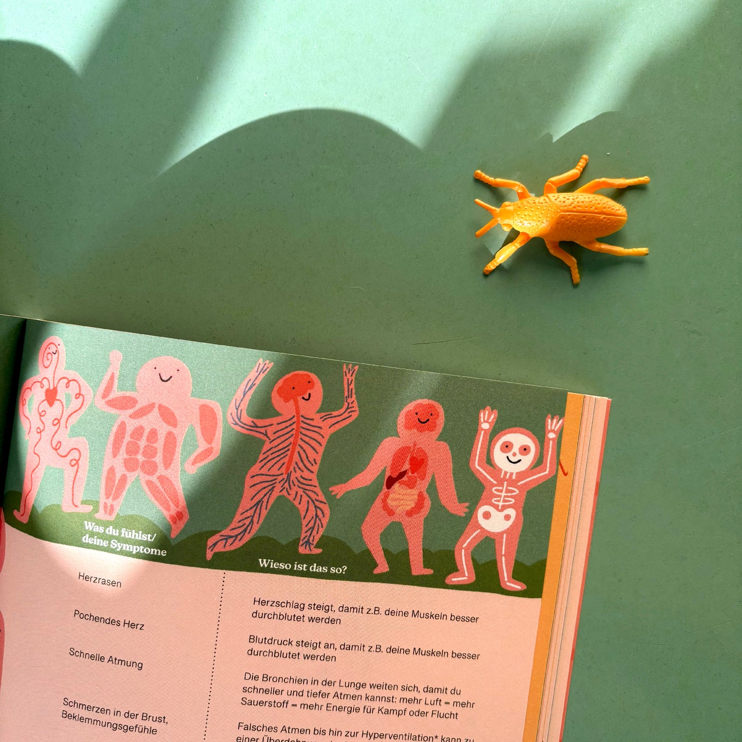 Panik? Attacke! – Dr. Janine Selle, Slinga