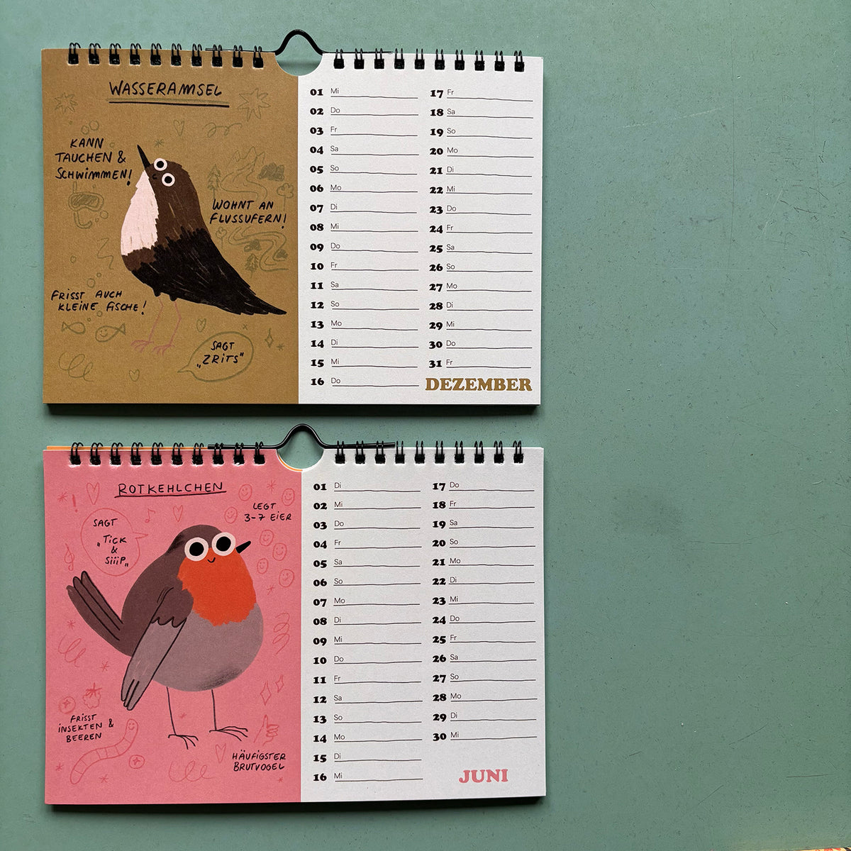 Vogel Fakten Kalender 2027